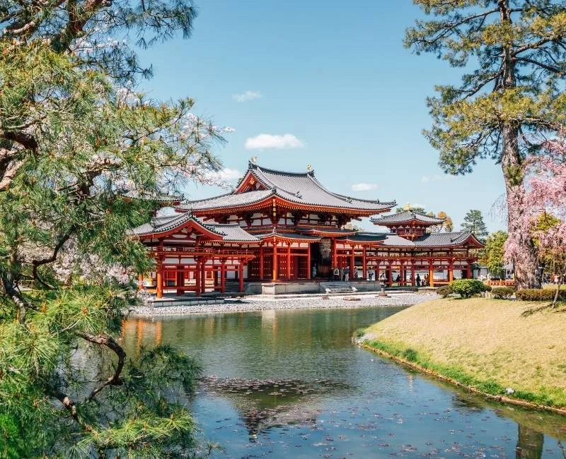 藝境漫遊：貴船神社水占卜