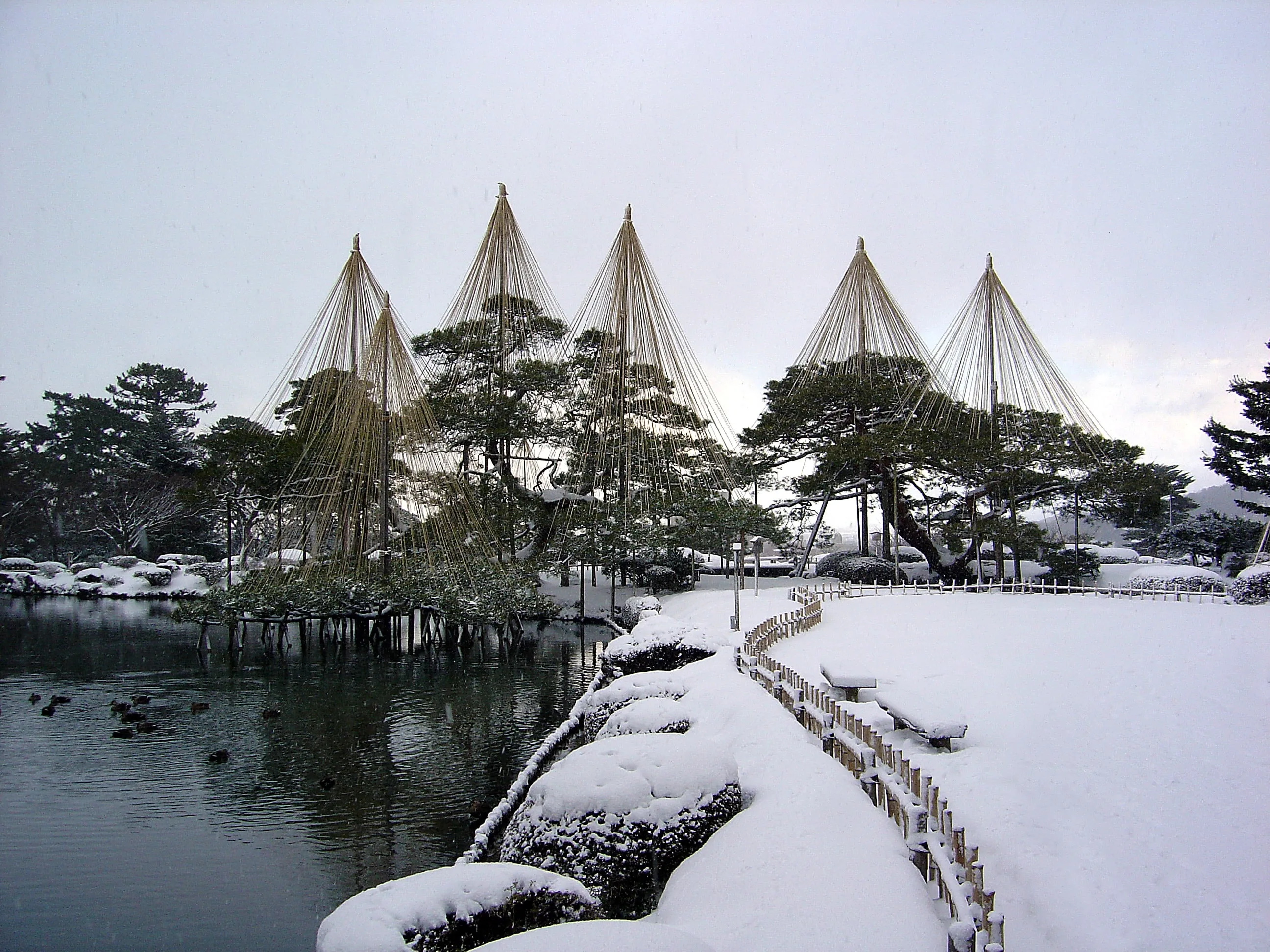 賞櫻名所❀兼六園