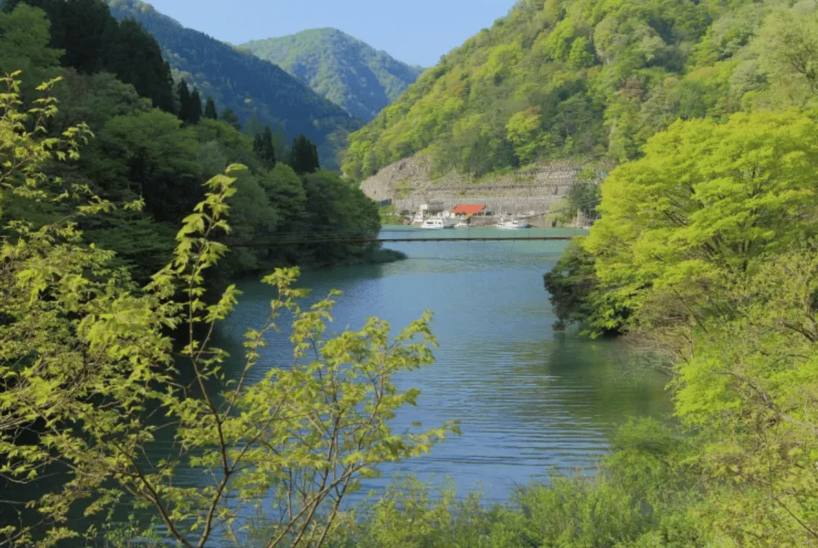 【秘境四國・3 日】天橋立・伊根舟屋・城崎溫泉｜絕美地景紀行