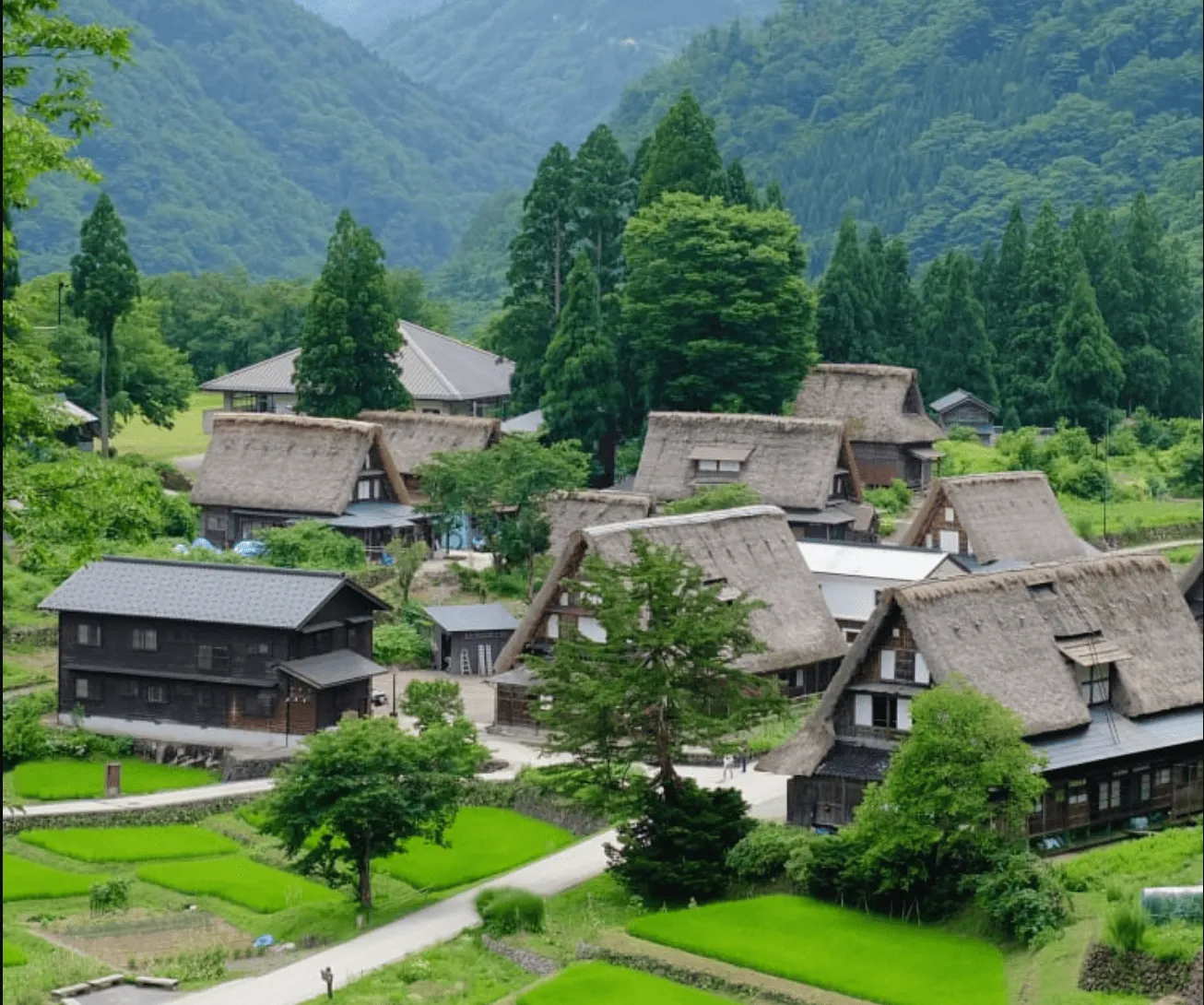 【壯麗立山・3 日】白川鄉合掌村・入住富山市區｜巔峰雪境紀行